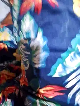 Snapshot of Sonazi chatting on 12, 4, 2026 Sonazi online show from 12, 4, 2026