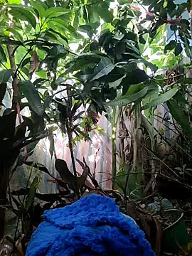 Kiki-vivi online show from 16, 9, 2025