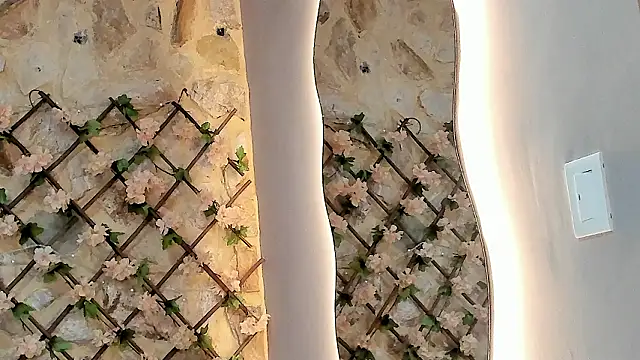 VenusBlazer online show from 7, 2, 2026