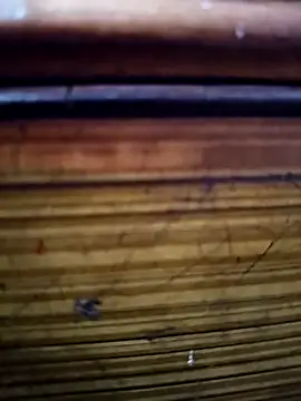 Shruti Bhabhi38 online show from 1, 11, 2025