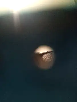 Sonya51561 online show from 26, 11, 2025