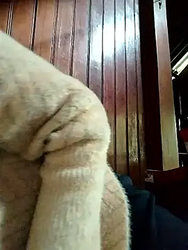 Snapshot of Sinejdk3 chatting on 19, 1, 2026 Sinejdk3 online show from 19, 1, 2026