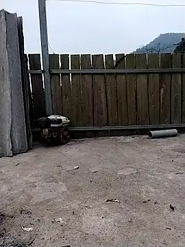 linda bae00 online show from 11, 1, 2026