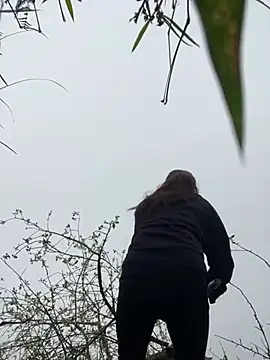 beobeo 2xx online show from 16, 3, 2026