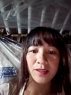 Mini3333 online show from 27, 10, 2025