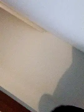 Andrez5041 online show from 14, 10, 2025