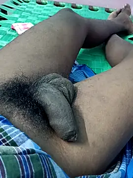 dolphiinn online show from 19, 10, 2025