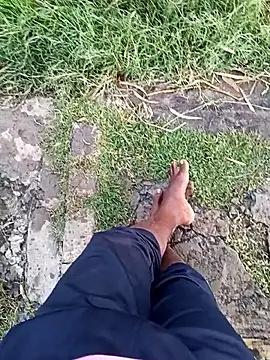 dolphiinn online show from 23, 12, 2025