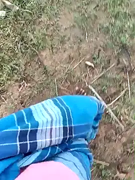 dolphiinn online show from 20, 3, 2026