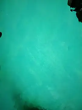 Arti13A online show from 17, 1, 2026