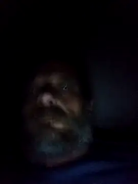 Potch8duim online show from 6, 10, 2025