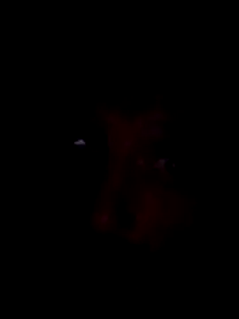 Potch8duim online show from 2, 11, 2025