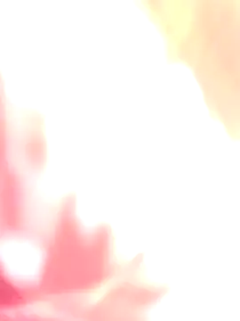 Dikchahot online show from 17, 12, 2025