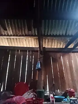 Ngocmi909 online show from 6, 3, 2026