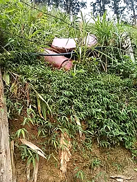 Ngocmi909 online show from 19, 3, 2026