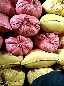 Snapshot of Sa2mh20 chatting on 11, 2, 2026 Sa2mh20 online show from 11, 2, 2026