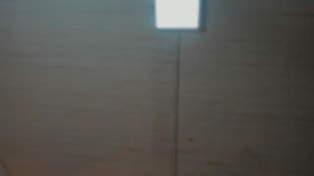 BellaBoobs  online show from 1, 10, 2025