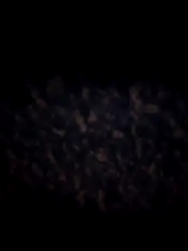 AmberGold- online show from 4, 3, 2026