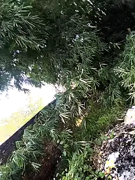 onlymasti00 online show from 4, 11, 2025