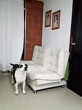 Isbettyche online show from 11, 2, 2026