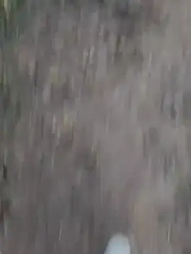 Sonia66w online show from 1, 10, 2025