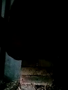 NegroArg 22 online show from 2, 10, 2025