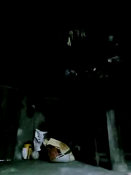 ngan-cute online show from 16, 12, 2025