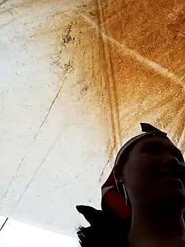 bing-bing88 online show from 20, 2, 2026