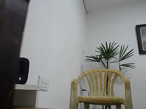 Young handsome online show from 11, 9, 2025