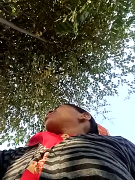 Hot-honi online show from 17, 11, 2025