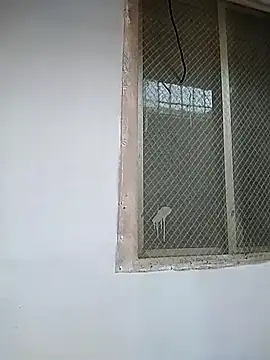 7incpink online show from 2, 12, 2025