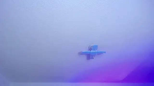  Charlotte Collins  online show from 6, 3, 2026