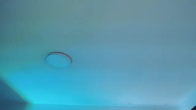  Charlotte Collins  online show from 10, 4, 2026