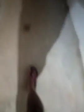 Snapshot of sexy__girls98 chatting on 27, 11, 2025 sexy girls98 online show from 27, 11, 2025