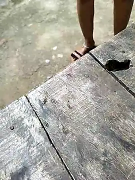 sexy  girls98 online show from 3, 12, 2025