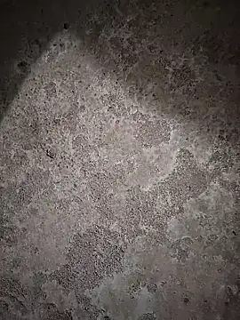 sexy  girls98 online show from 6, 2, 2026