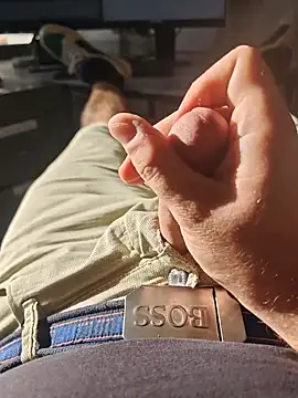 stunning stallion online show from 12, 9, 2025