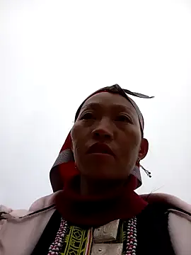 tcm-cute online show from 4, 11, 2025