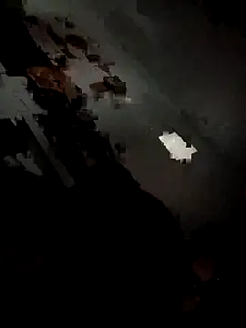 Payal950 online show from 6, 11, 2025