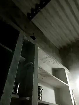 Payal950 online show from 8, 11, 2025