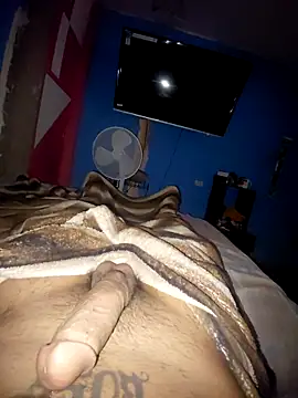 Exotic19cm online show from 15, 3, 2026