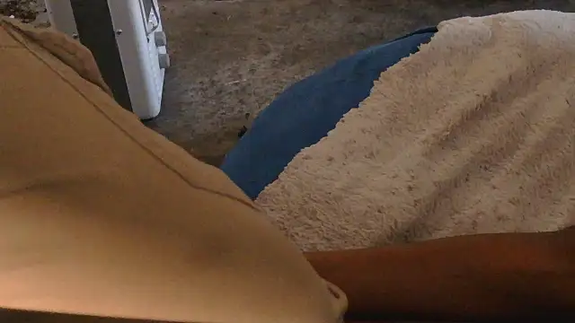 Gmajor online show from 19, 11, 2025