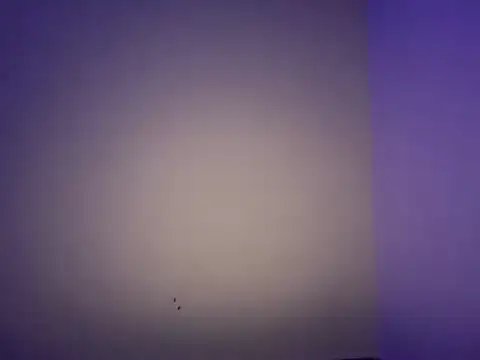 LustyDuoSecrets online show from 11, 11, 2025