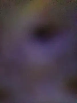 Snapshot of sadhna200 chatting on 5, 10, 2025 sadhna200 online show from 5, 10, 2025