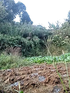 hera-00 online show from 24, 11, 2025