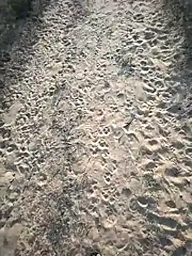 SmartLoda143 online show from 19, 11, 2025