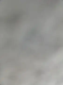 SmartLoda143 online show from 8, 2, 2026