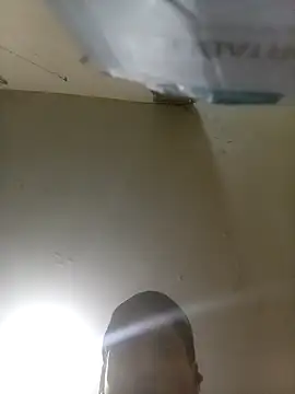 Bebicho14 online show from 14, 9, 2025