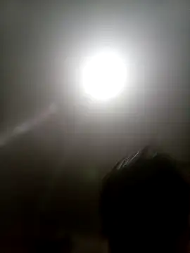 Bebicho14 online show from 13, 11, 2025