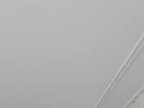 paull george online show from 28, 11, 2025